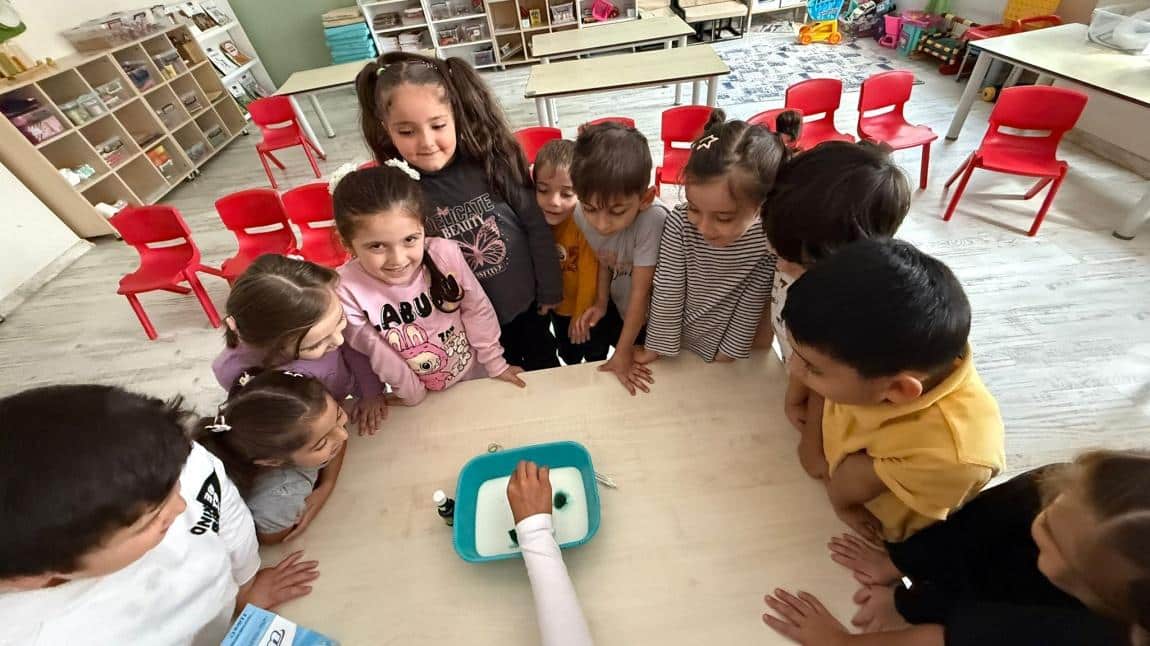 Yaparak ve Yaşayarak Öğreniyoruz/Doğayı Keşfediyorum ve Koruyorum.